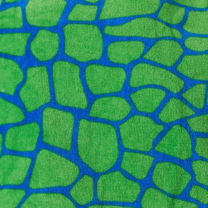 Saint Eve Youth Beach Cover Up and Swimsuit Set Dinosaur