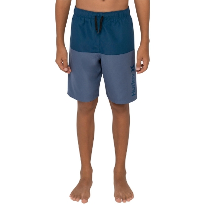 Hurley Boy's Swim Trunk