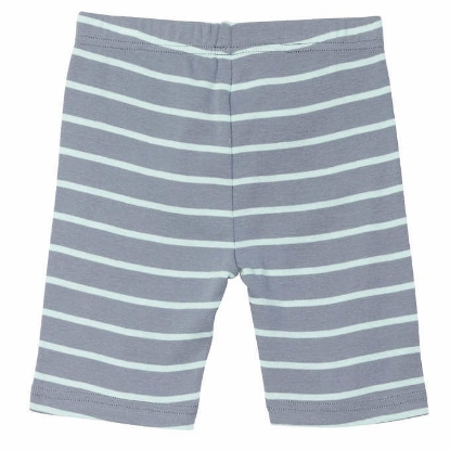 Carter's Kids 6 piece Cotton PJ Dinosaur