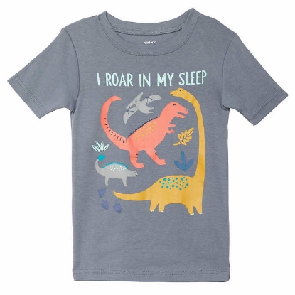 Carter's Kids 6 piece Cotton PJ Dinosaur