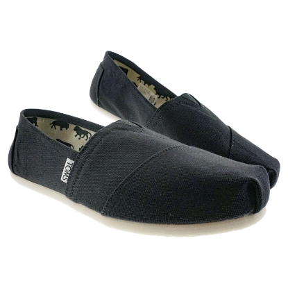 Toms Women's Classic Canvas Shoe