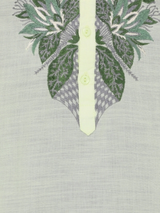 Picture of Pastel Green Embroidered Addi Cotton Panjabi