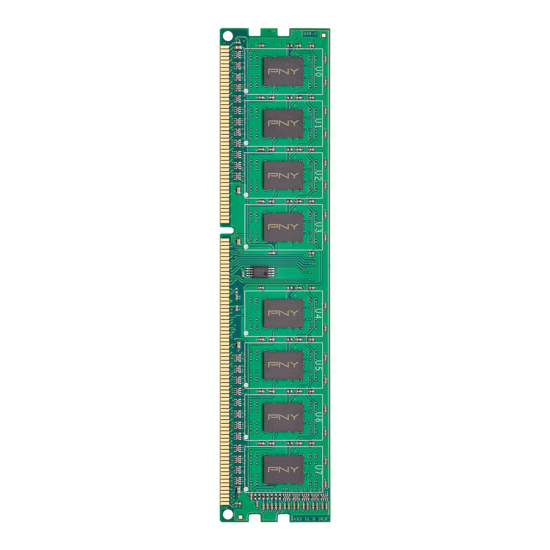 Picture of PNY 8GB DDR3 1600MHz Desktop Memory