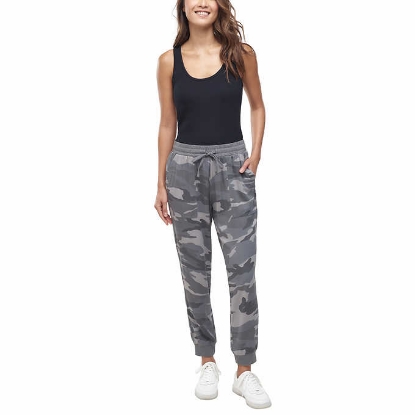 Splendid Ladies' Knit Jogger