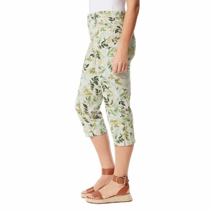 Gloria Vanderbilt Ladies' Amanda Capri