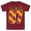 Picture of Disney  Harry Potter Gryffindor MVP Youth Unisex T Shirt Red Large