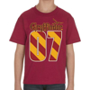 Picture of Disney  Harry Potter Gryffindor MVP Youth Unisex T Shirt Red Large