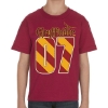 Picture of Disney  Harry Potter Gryffindor  Youth Unisex T Shirt Red Large