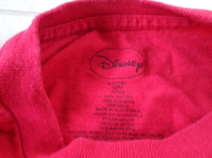 Picture of Disney Florida All About Me Minnie Adult T-Shirt Medium