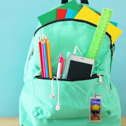 Picture of Mickey Minnie Disney Sunset Lucite Keychain, Florida Namedrop