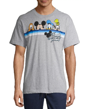 Picture of Disney Adult T-Shirt Vacation Pals Gray Medium