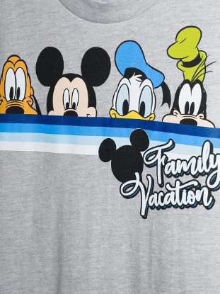 Picture of Disney Adult T-Shirt Vacation Pals Gray Medium