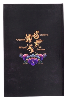 Picture of Harry Potter Hogwarts Journal with Wand Pen