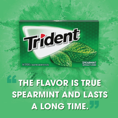 Picture of Trident Spearmint Sugar Free Gum 14 Pieces