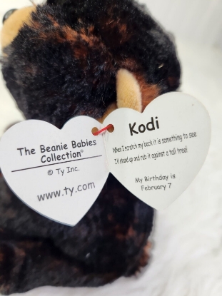 Picture of Ty Kodi Black Bear Medium