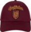 Picture of Harry Potter Gryffindor Crest Baseball Cap