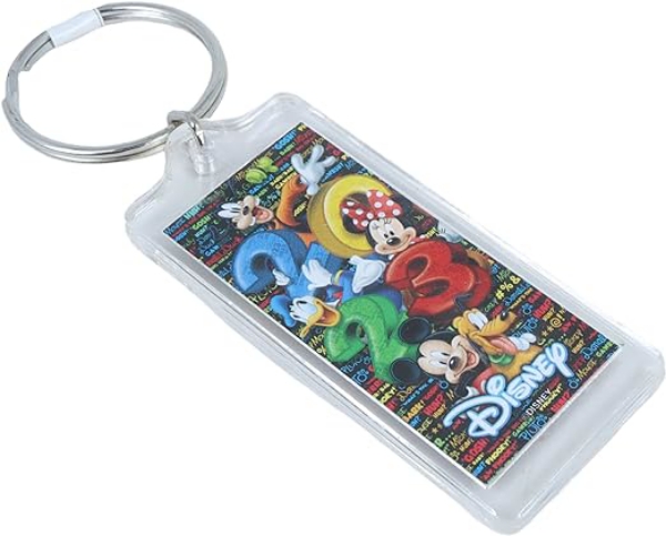 Picture of Disney Mickey Mouse and Friends Keychain 2023 Limited Edition Key Ring