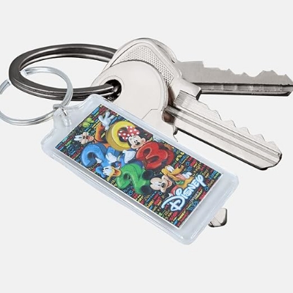 Picture of Disney Mickey Mouse and Friends Keychain 2023 Limited Edition Key Ring