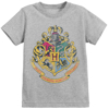 Picture of Harry Potter Hogwarts Crest T-Shirt Grey Large