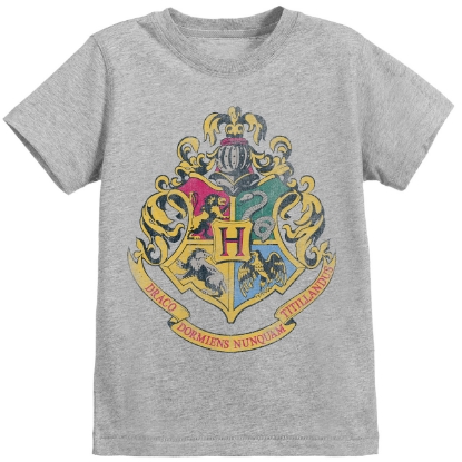 Picture of Harry Potter Hogwarts Crest T-Shirt Grey Large