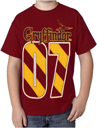 Picture of Disney  Harry Potter Gryffindor MVP Youth Unisex T Shirt Red Small