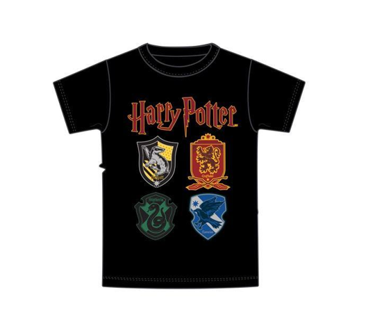 Picture of Harry Potter Youth Boys Belong Tee Black Large