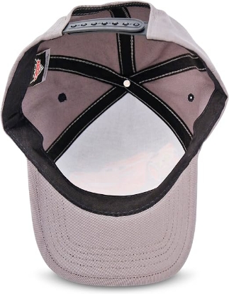 Picture of Disney Cars Lightning McQueen Toddler Boys Cotton Baseball Cap Age 2-5