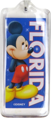 Picture of Disney Coy Mickey Lucite Keychain (Florida Namedrop)