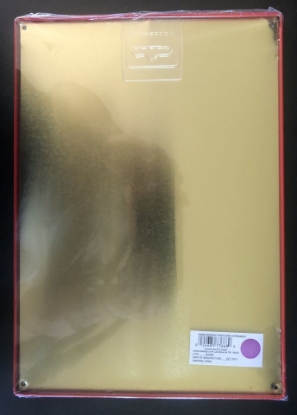 Picture of Metal Sign Warning Video Game in Progress