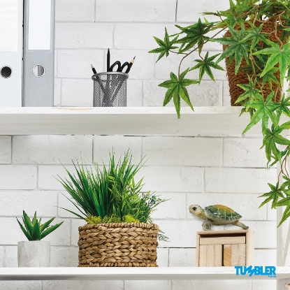 Picture of Sea Turtle Figurine Small Polyresin Statue Home Decor Pack Set of 4