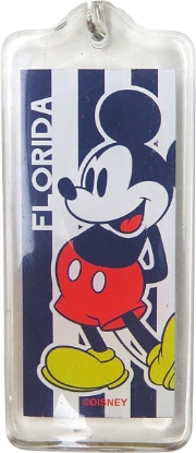 Picture of Disney Florida Mickey and Minnie Mouse Souvenir Keychains