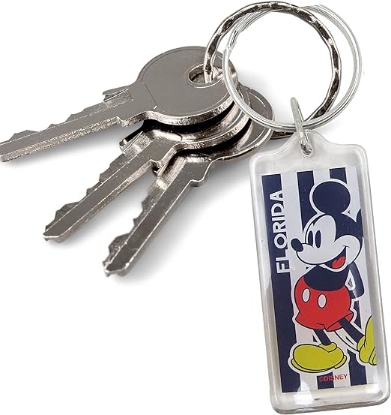 Picture of Disney Florida Mickey and Minnie Mouse Souvenir Keychains