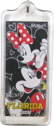 Picture of Disney Florida Mickey and Minnie Mouse Souvenir Keychains