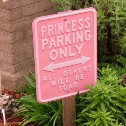 Picture of Princess Parking only Tin Sign Made By Kalan