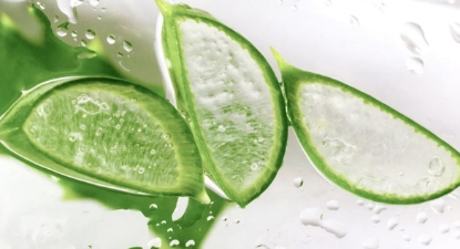 Picture of Dermasil Aloe Fresh Moisturizing Body Lotion