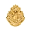 Picture of Harry Potter Hogwarts Golden Crest Pewter Lapel Pin