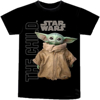 Picture of Star Wars The Mandalorian The Child Character T-Shirt XLarge