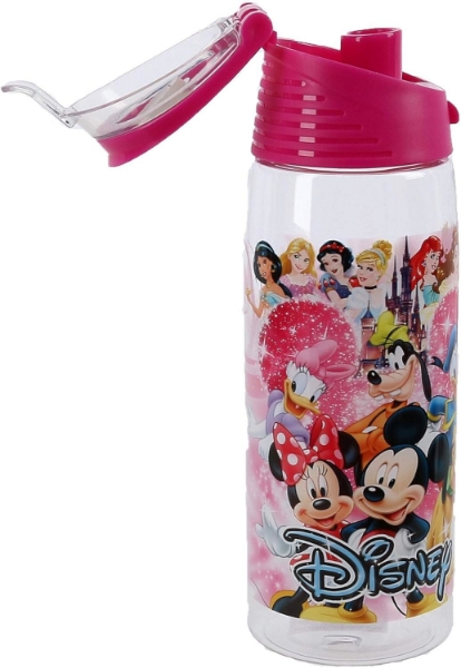 Picture of Disney Ensemble Group Mickey Minnie Goofy Donald Pluto Princesses Flip Top Bottle