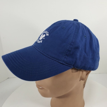 Picture of Disney Mickey Head Silhouette Navy Blue Cap