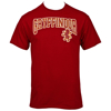 Picture of Harry Potter Gryffindor Style Adult T-Shirt Cardinal Red