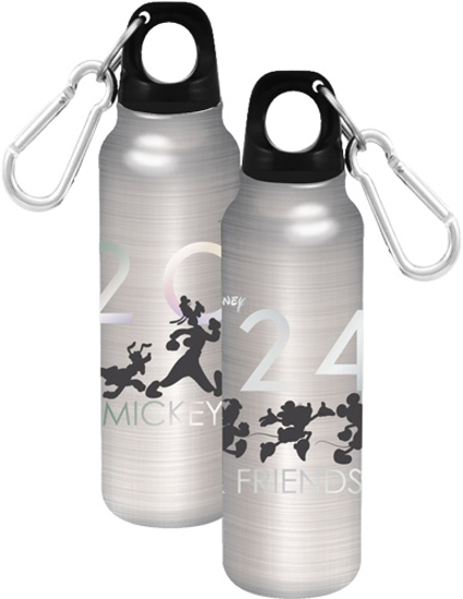 Picture of Disney Mickey And Friends March 2024 Aluminum Bottle Silver