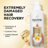 Picture of Pantene Pro-V Miracles Extreme Damage Care Regenerative Oil Blend Shampoo & Conditioner, 30 fl. oz., 2 pk.