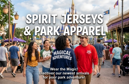 Picture for category Jerseys & Costumes