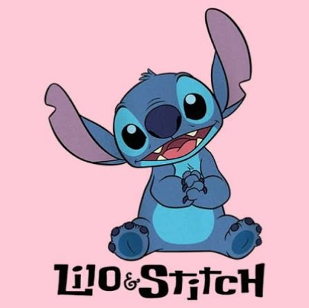Picture for category Lito & Stitch