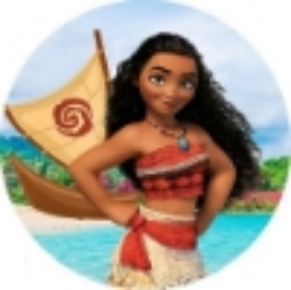 Picture for manufacturer Moana