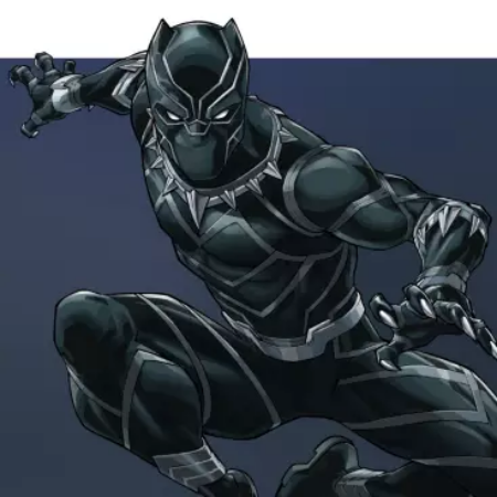 Picture for category Black Panther